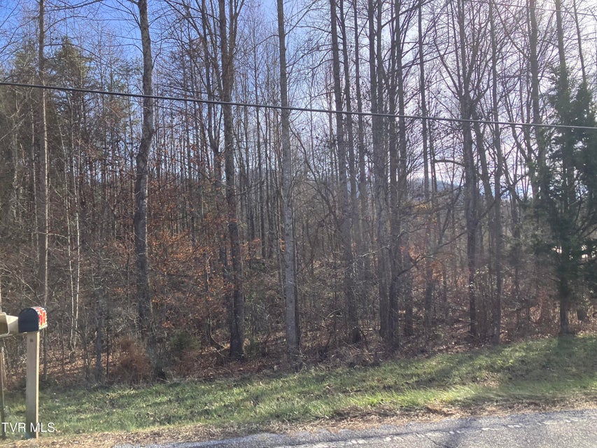 Photo #4: Tbd Cherokee Road