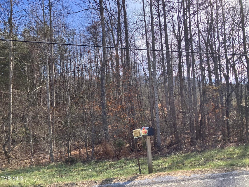 Photo #5: Tbd Cherokee Road