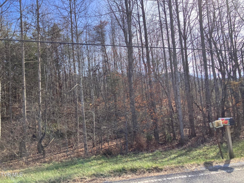 Photo #6: Tbd Cherokee Road