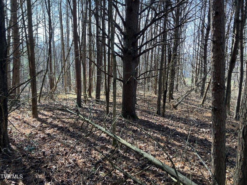 Photo #8: Tbd Cherokee Road