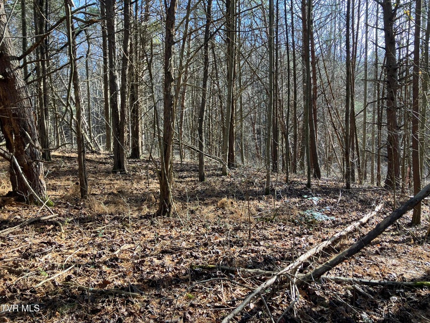 Photo #9: Tbd Cherokee Road