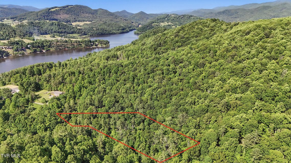 Photo #49: 2210 Norris Road