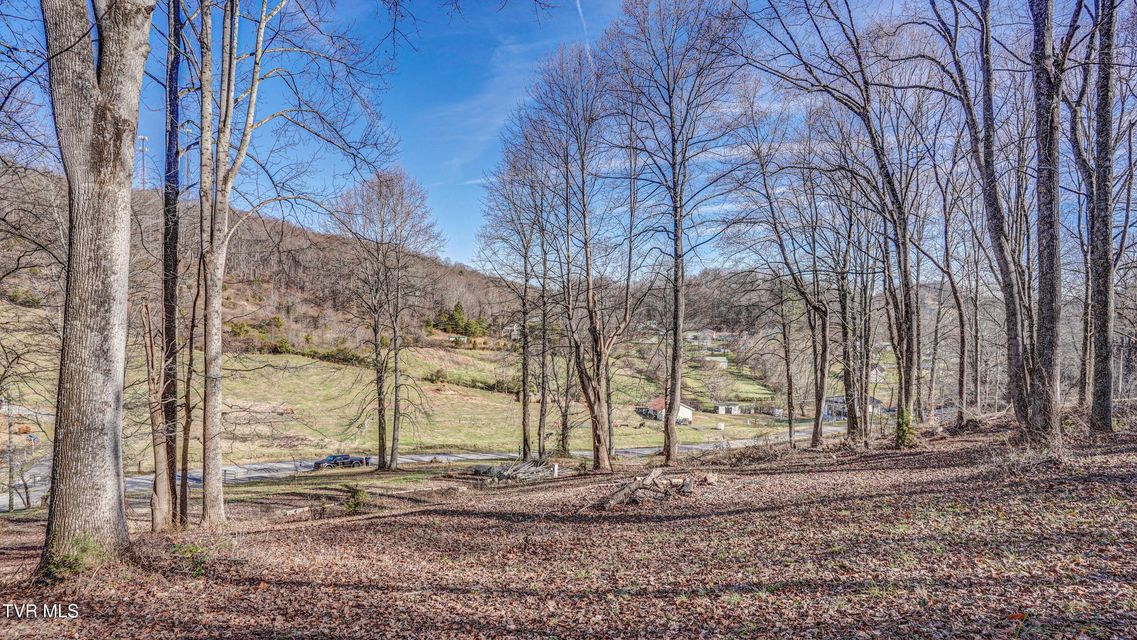 Photo #19: 337 Johnson Cemetery Road