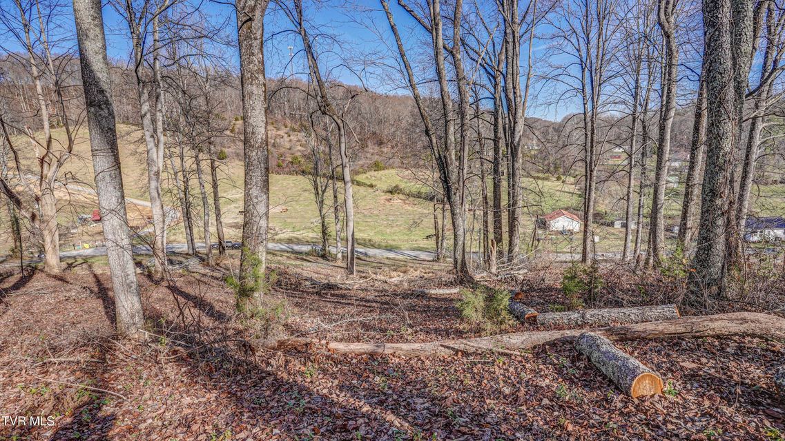 Photo #23: 337 Johnson Cemetery Road