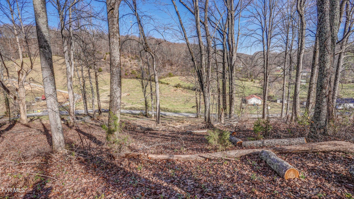 Photo #23: 337 Johnson Cemetery Road