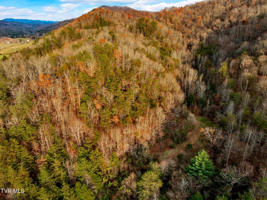 Photo #50: Tbd Panther Creek Road