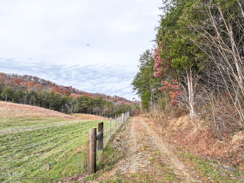 Photo #7: 0 Coy Bradley Lane