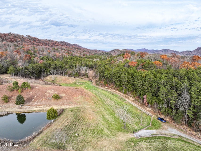 Photo #6: 0 Coy Bradley Lane