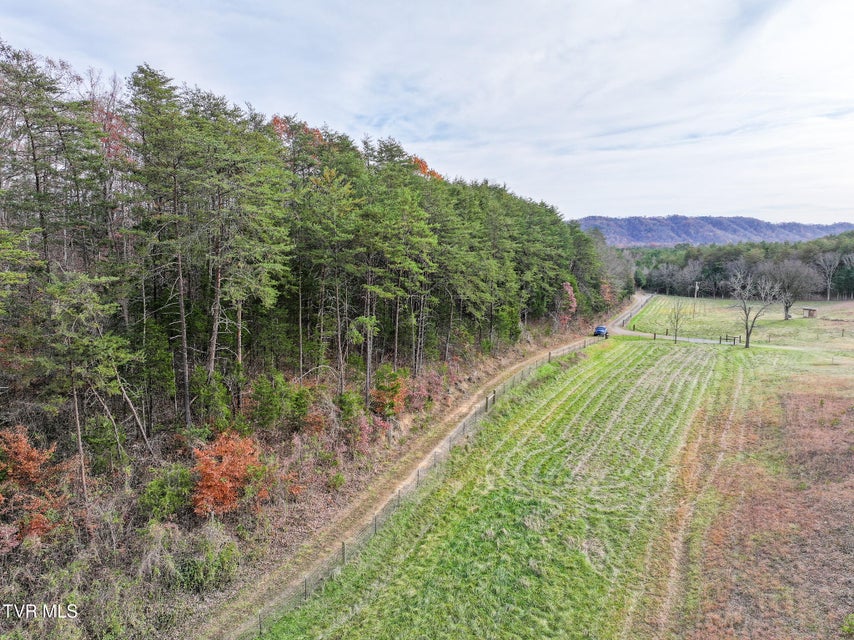 Photo #8: 0 Coy Bradley Lane