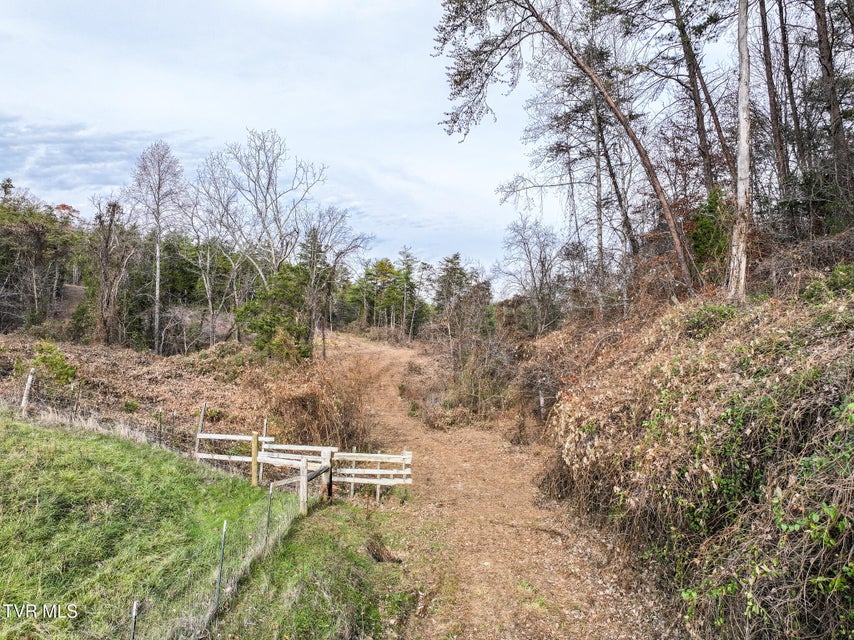 Photo #24: 0 Coy Bradley Lane