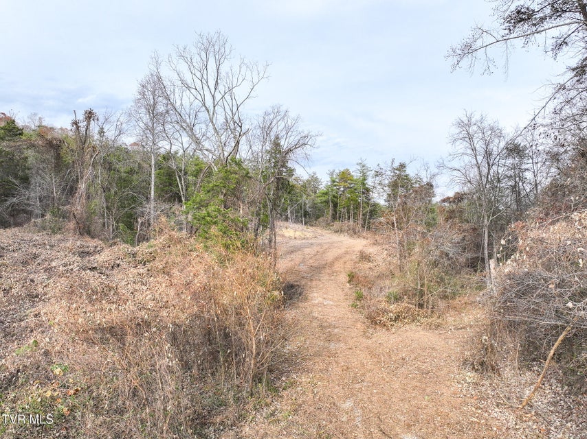 Photo #31: 0 Coy Bradley Lane