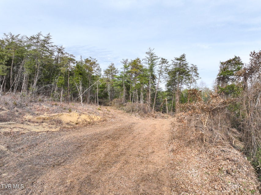 Photo #32: 0 Coy Bradley Lane