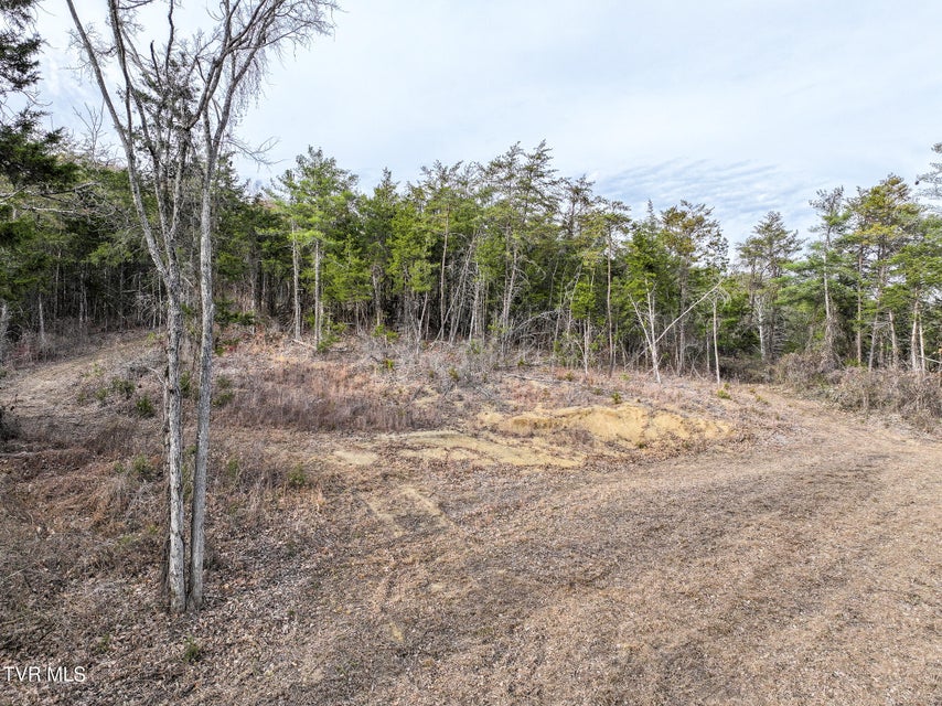 Photo #33: 0 Coy Bradley Lane