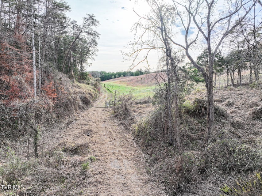 Photo #34: 0 Coy Bradley Lane