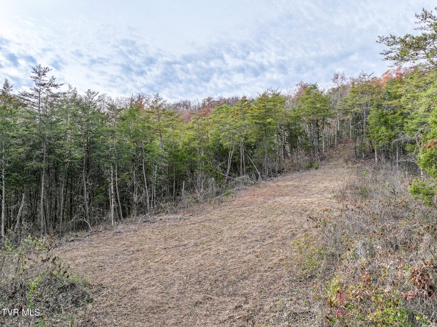 Photo #35: 0 Coy Bradley Lane