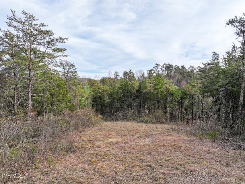 Photo #36: 0 Coy Bradley Lane