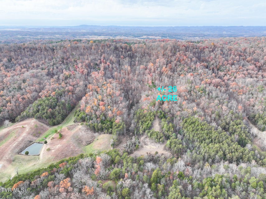 Photo #37: 0 Coy Bradley Lane