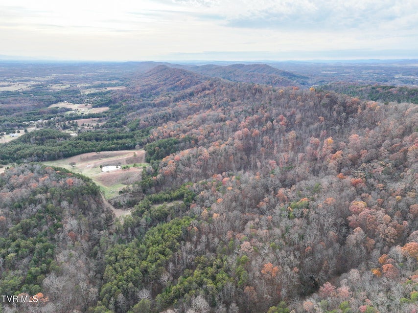 Photo #38: 0 Coy Bradley Lane