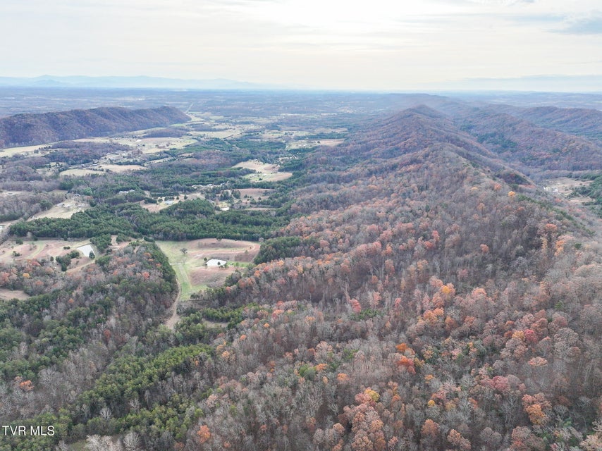 Photo #39: 0 Coy Bradley Lane