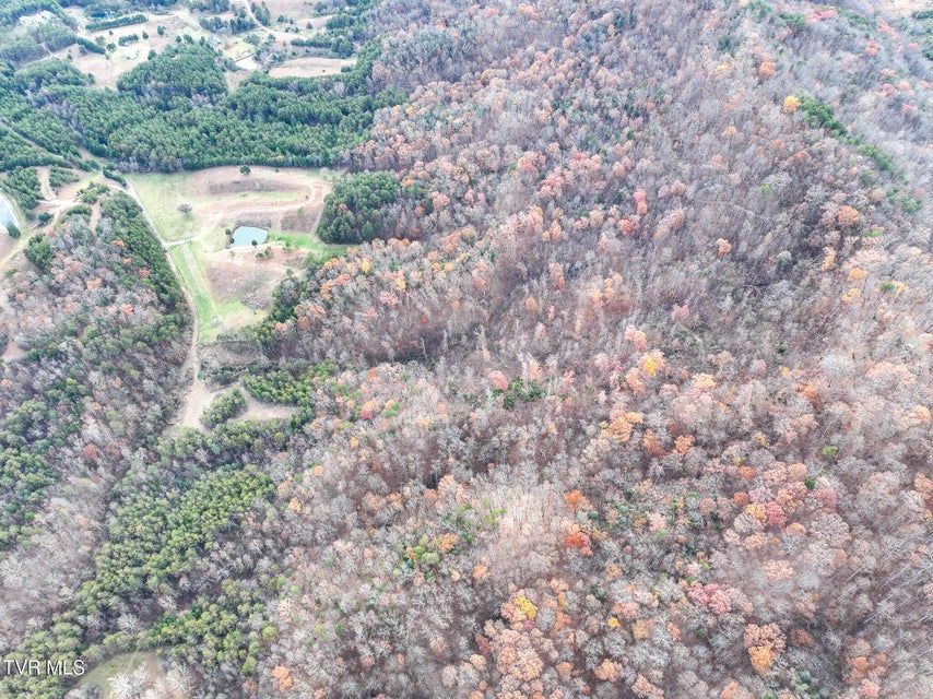 Photo #42: 0 Coy Bradley Lane