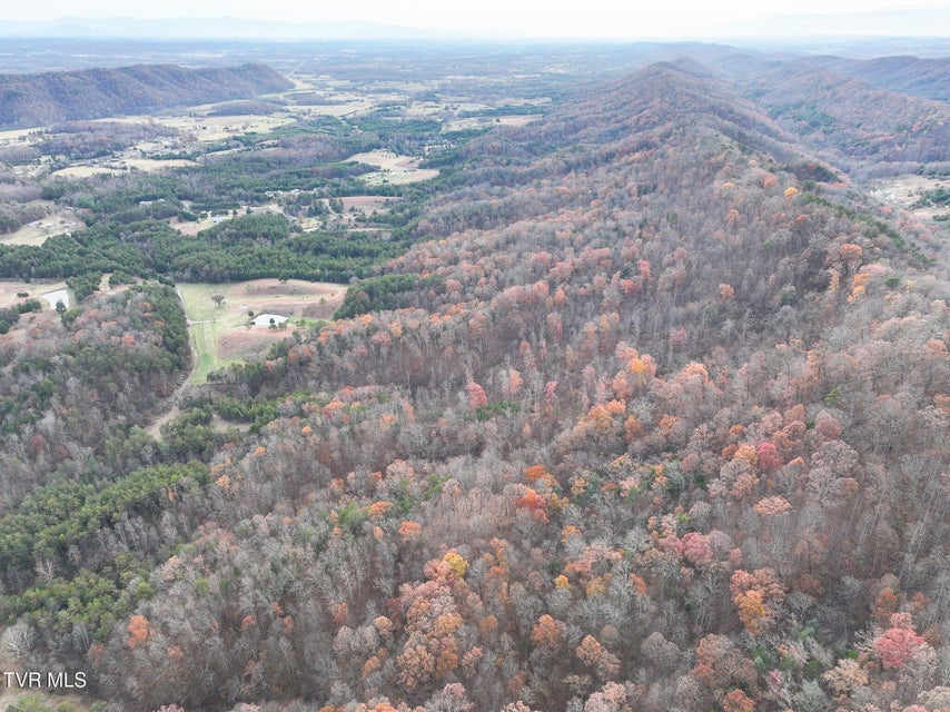 Photo #43: 0 Coy Bradley Lane