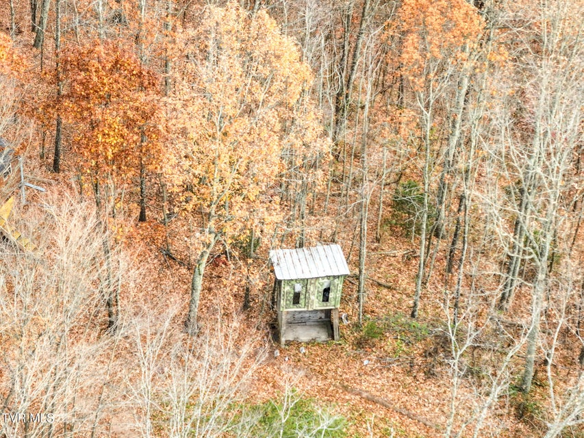 Photo #45: 0 Coy Bradley Lane