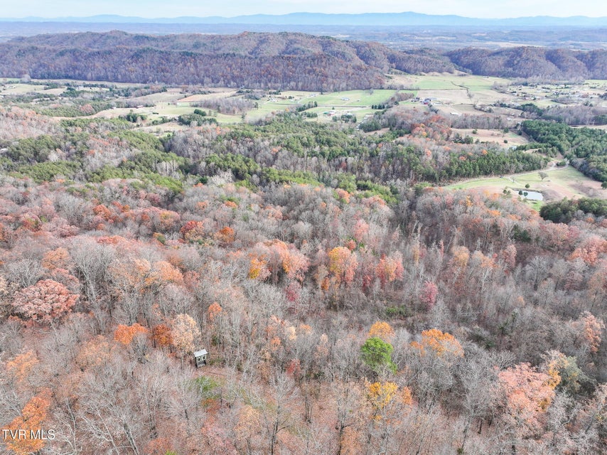 Photo #46: 0 Coy Bradley Lane