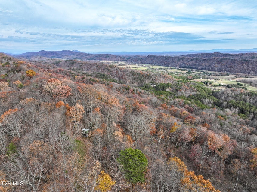 Photo #47: 0 Coy Bradley Lane