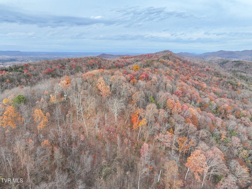 Photo #49: 0 Coy Bradley Lane