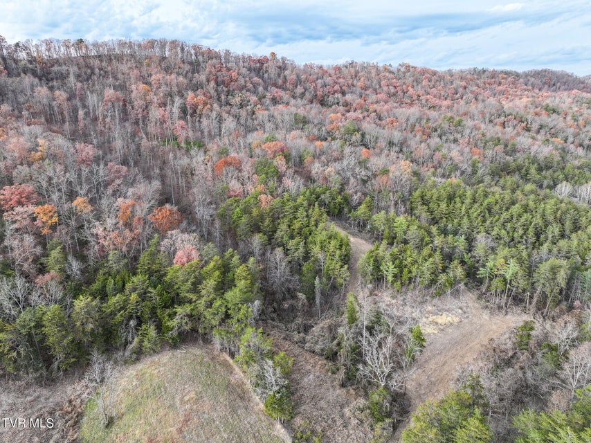 Photo #50: 0 Coy Bradley Lane