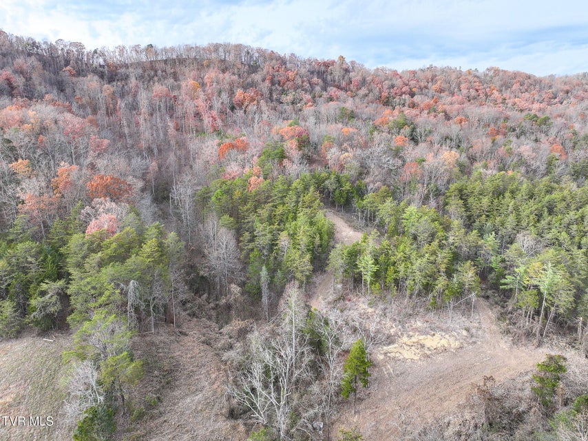 Photo #51: 0 Coy Bradley Lane