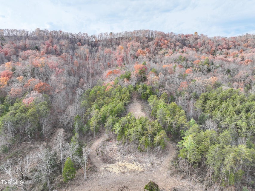 Photo #52: 0 Coy Bradley Lane