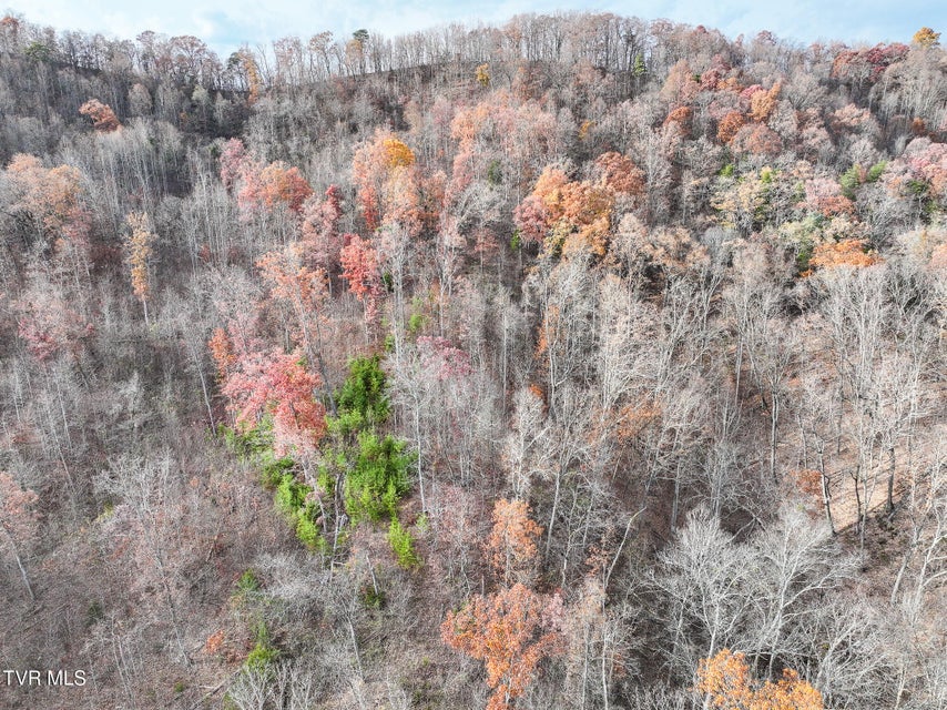 Photo #53: 0 Coy Bradley Lane