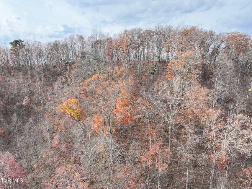 Photo #54: 0 Coy Bradley Lane