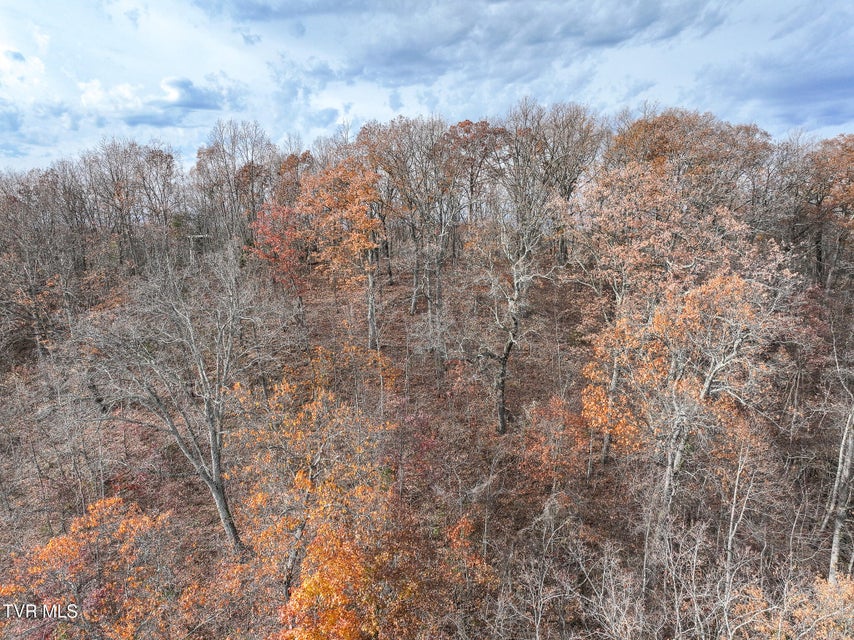 Photo #55: 0 Coy Bradley Lane