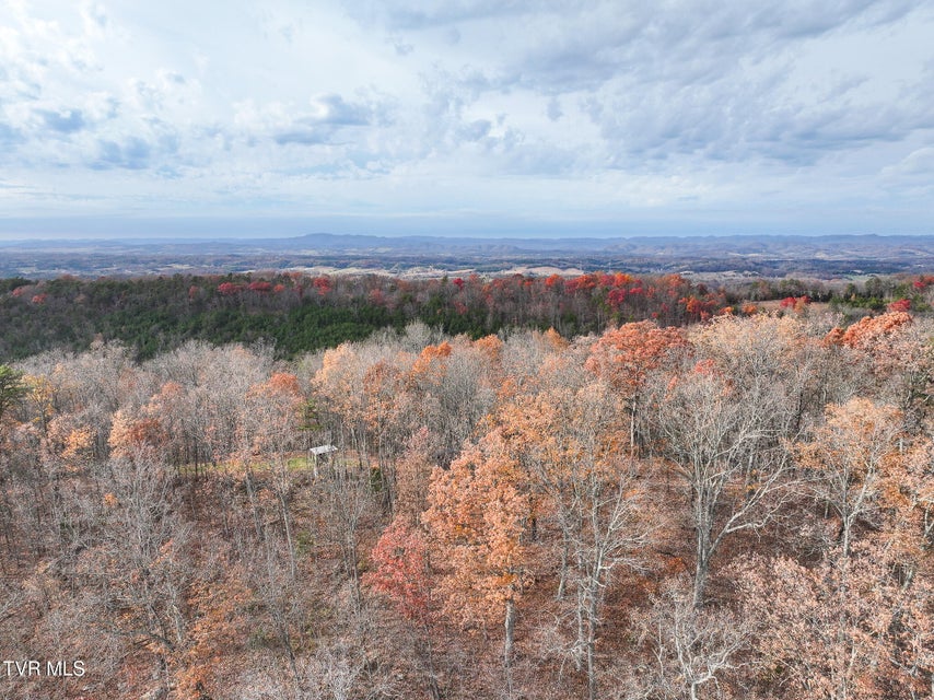 Photo #56: 0 Coy Bradley Lane