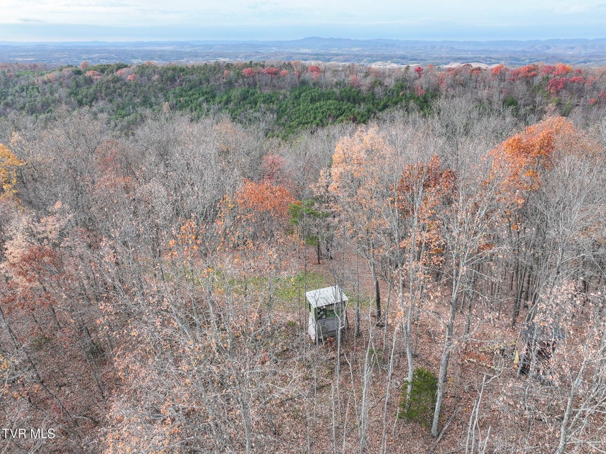 Photo #44: 0 Coy Bradley Lane