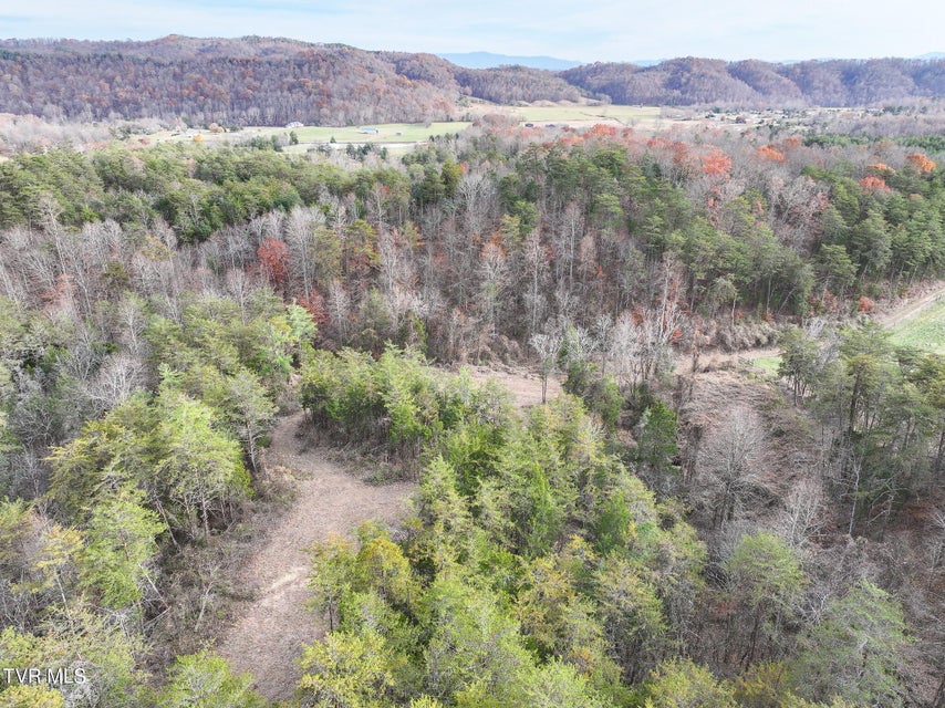 Photo #41: 0 Coy Bradley Lane