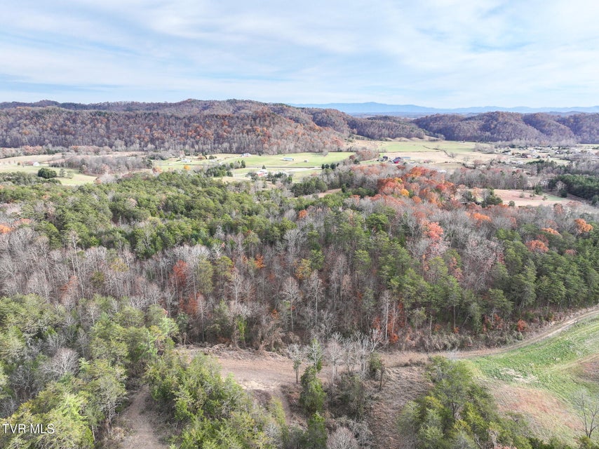 Photo #40: 0 Coy Bradley Lane