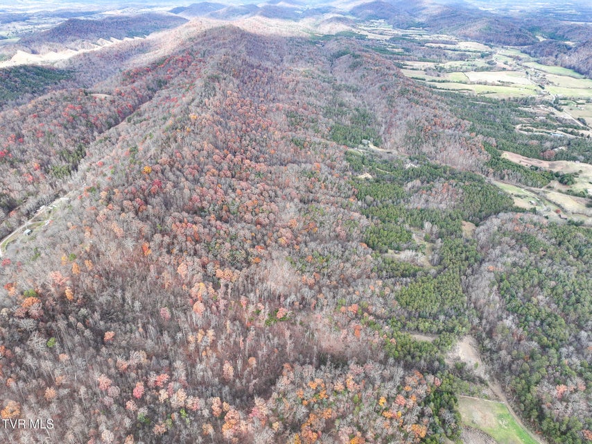 Photo #16: 0 Coy Bradley Lane