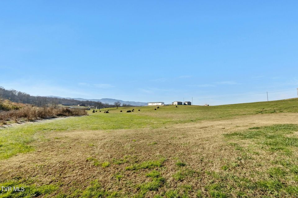 Photo #24: 199 Bud Ball Road