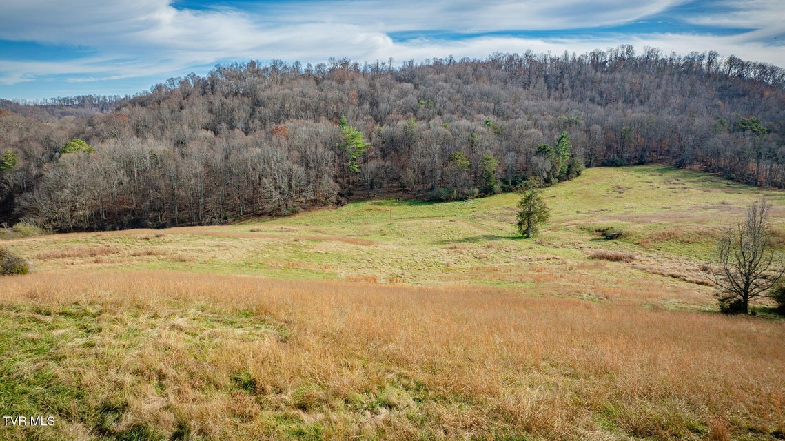 Photo #5: 1520 Brittontown Road