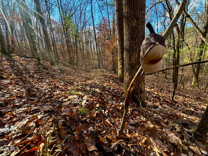 Photo #29: 1520 Brittontown Road