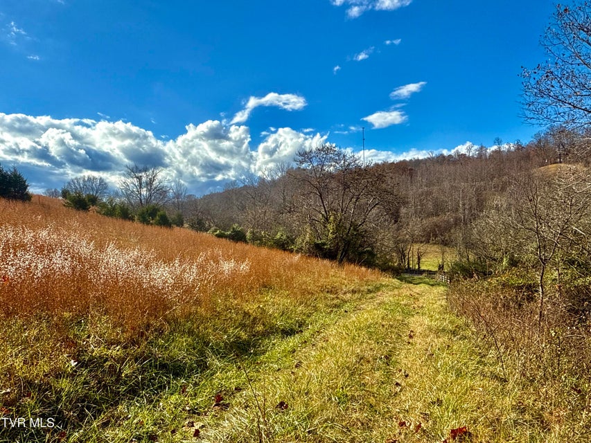 Photo #7: 1520 Brittontown Road