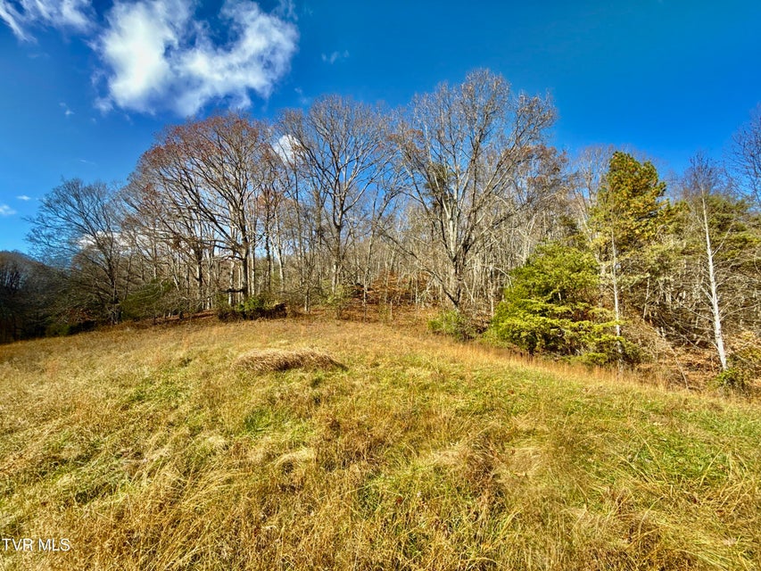 Photo #34: 1520 Brittontown Road