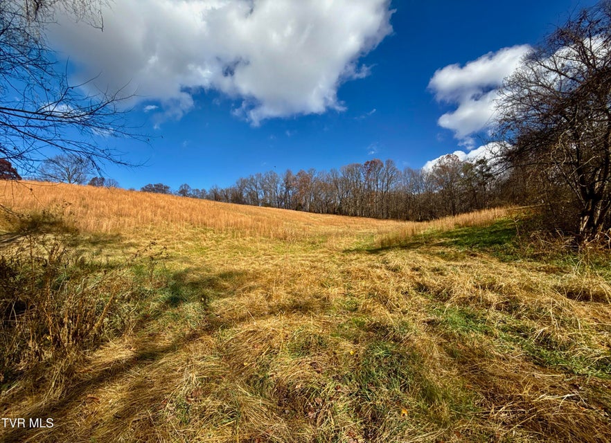 Photo #11: 1520 Brittontown Road