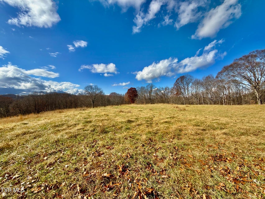 Photo #12: 1520 Brittontown Road