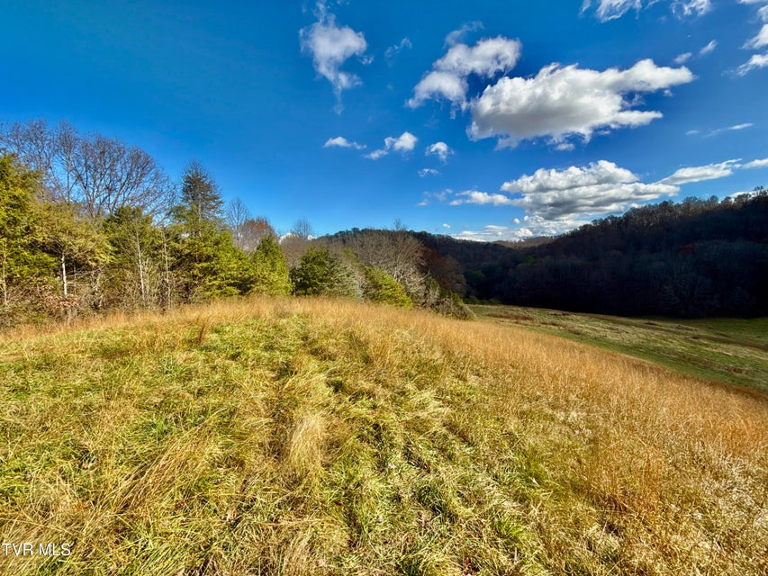 Photo #31: 1520 Brittontown Road