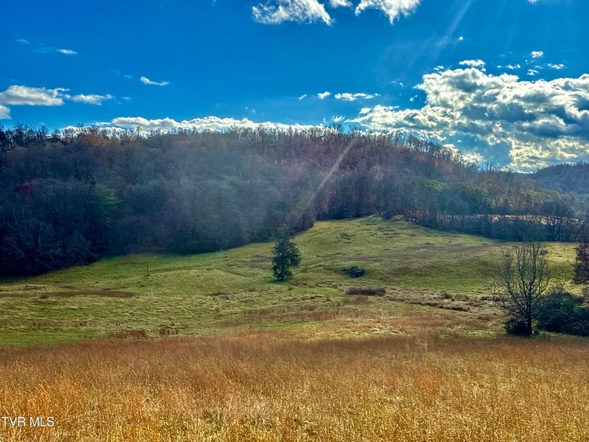 Photo #13: 1520 Brittontown Road