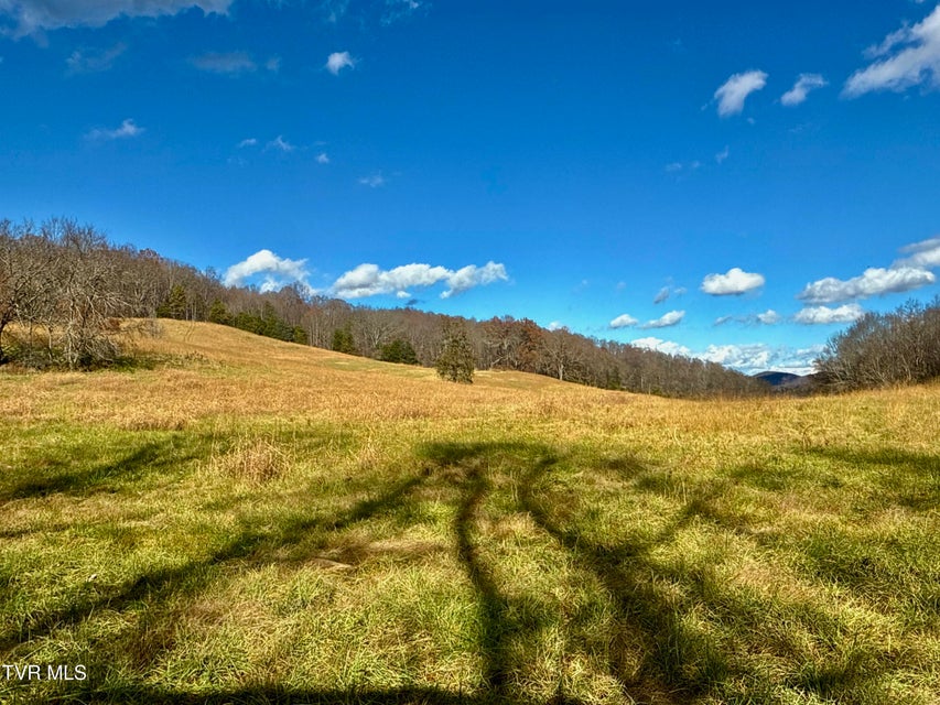 Photo #15: 1520 Brittontown Road